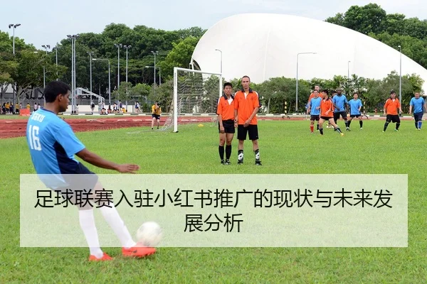 足球联赛入驻小红书推广的现状与未来发展分析
