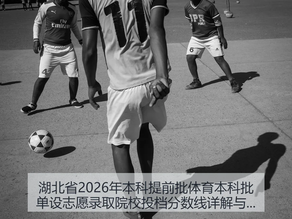 湖北省2026年本科提前批体育本科批单设志愿录取院校投档分数线详解与趋势分析